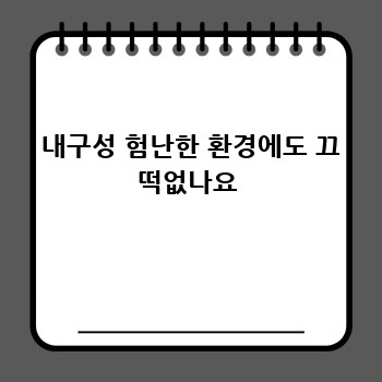 a8317af41907f615b89a67bdd38327af.jpg