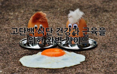 고단백 식단, 건강과 근육을 위한 완벽 가이드