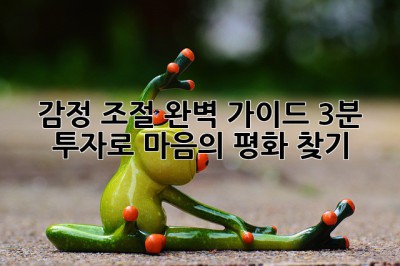 감정 조절 완벽 가이드: 3분 투자로 마음의 평화 찾기