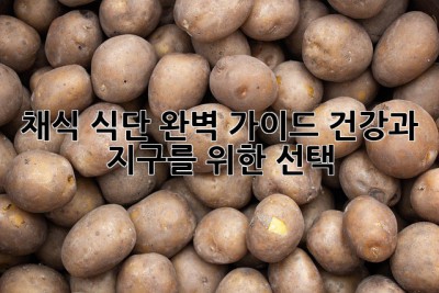 채식 식단 완벽 가이드: 건강과 지구를 위한 선택