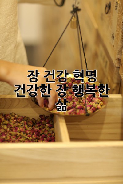 장 건강 혁명: 건강한 장, 행복한 삶