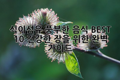 식이섬유 풍부한 음식 BEST 10! 건강한 장을 위한 완벽 가이드